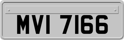 MVI7166