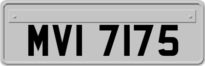 MVI7175