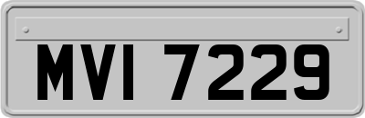 MVI7229