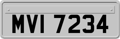 MVI7234