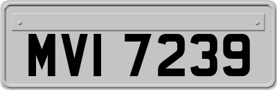 MVI7239