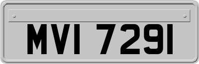 MVI7291