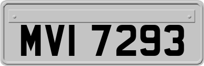 MVI7293