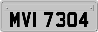 MVI7304