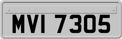 MVI7305