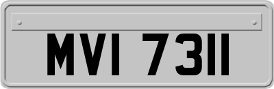MVI7311