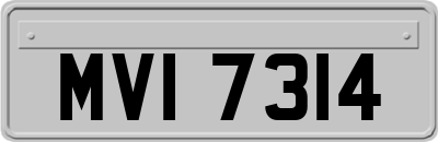 MVI7314
