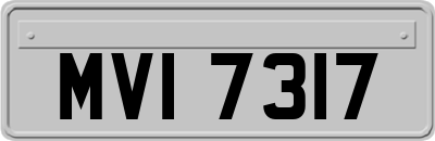 MVI7317