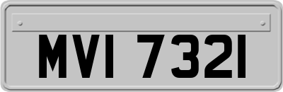 MVI7321