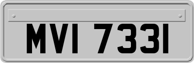 MVI7331