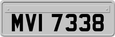 MVI7338