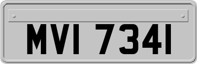 MVI7341