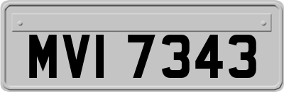 MVI7343