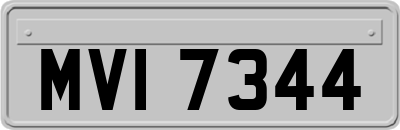 MVI7344