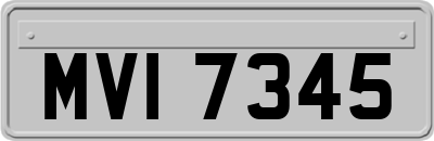 MVI7345