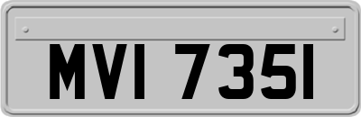 MVI7351