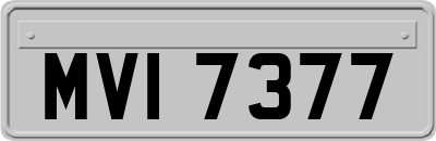 MVI7377