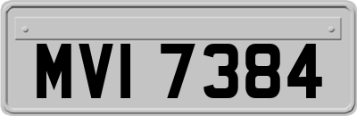MVI7384