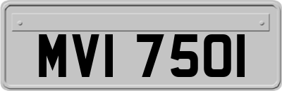 MVI7501