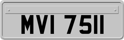 MVI7511