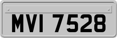 MVI7528