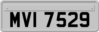 MVI7529