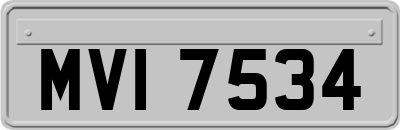MVI7534