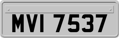 MVI7537