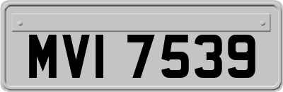 MVI7539