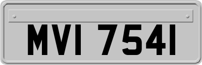 MVI7541