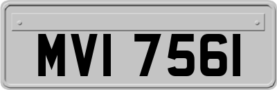 MVI7561