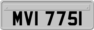 MVI7751
