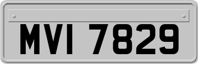 MVI7829