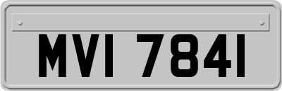 MVI7841