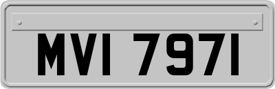 MVI7971