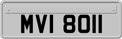MVI8011