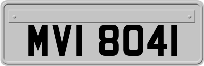 MVI8041