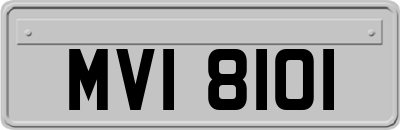 MVI8101
