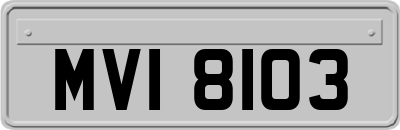 MVI8103