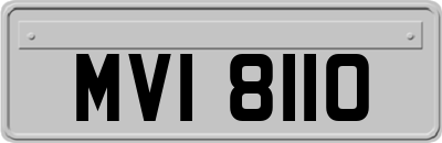 MVI8110