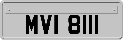 MVI8111