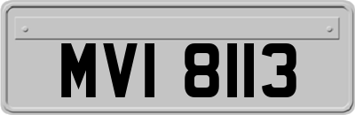 MVI8113