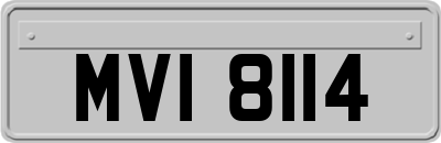 MVI8114