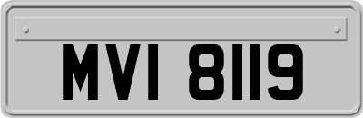 MVI8119