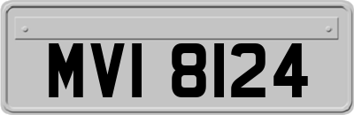 MVI8124
