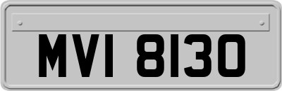 MVI8130
