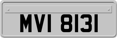 MVI8131