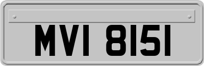 MVI8151