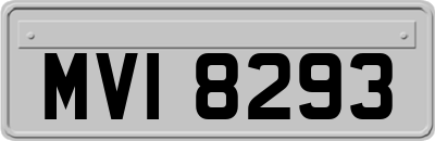 MVI8293
