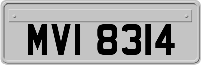 MVI8314